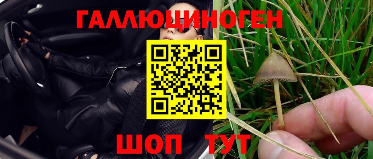 Псилоцибиновые грибы Psilocybine cubensis  Вход с VPN  Усть-Илимск 